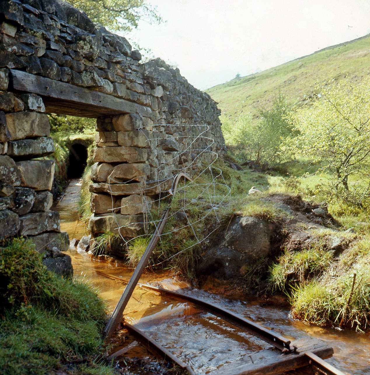 Wonderful Level Ashfoldside Gill 1971